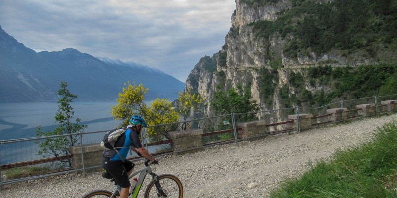 Punta Larici Nest Bike Percorsi E Itinerari In Mtb E Gravel