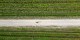 nestbike_garda-mincio-custoza_percorso-gravel-8.jpg