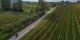 nestbike_garda-mincio-custoza_percorso-gravel.jpg
