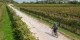 nestbike_garda-mincio-custoza_percorso-gravel-7.jpg
