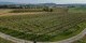 nestbike_garda-mincio-custoza_percorso-gravel-2.jpg