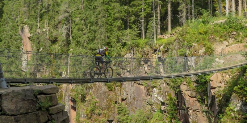 hd_ALPELUSIAPANEVEGGIA (7).jpg