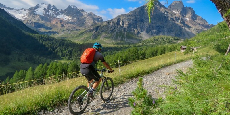 nestbike_val-viola-alpe-boron.jpg