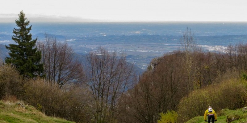 HD_grappaest (5).jpg