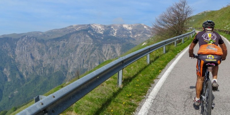 HD_transgrappa2 (1).jpg