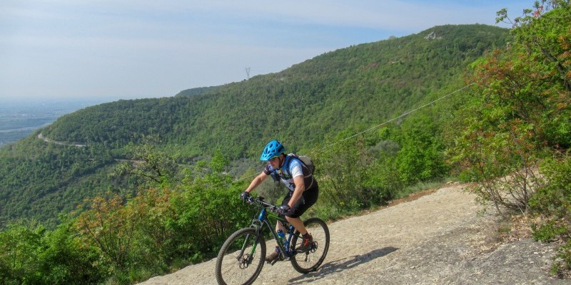 hd_bericifimon{Nome file»}-4.jpg