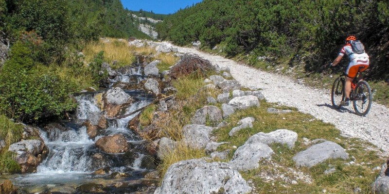 HD_girotofane (1).jpg