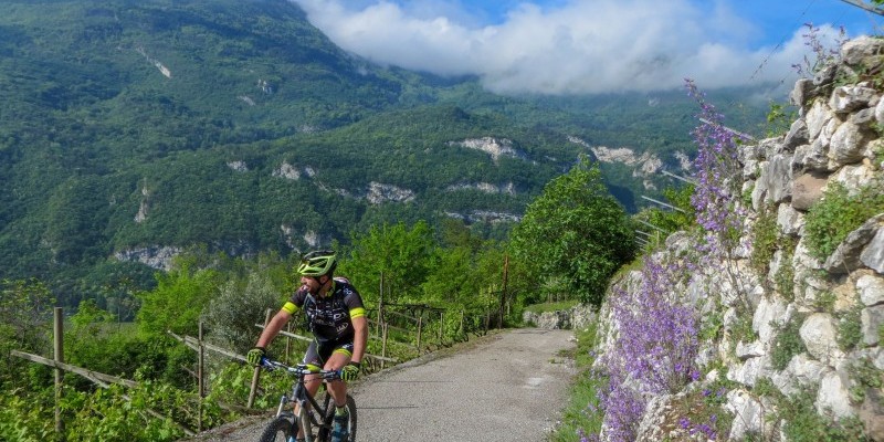 HD_grestacreino (1).jpg