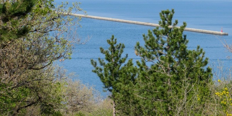 HD_rosandramuggia (7).jpg