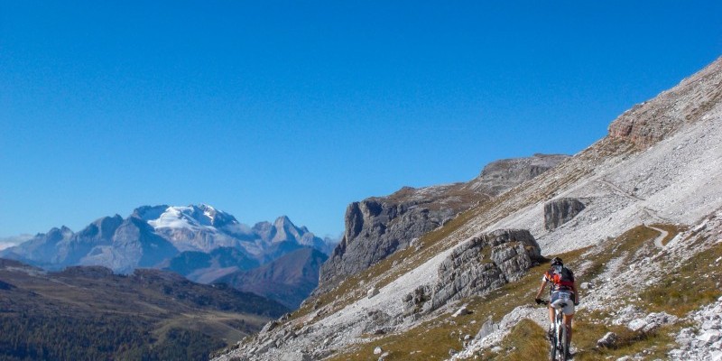 HD_tofanarozes (6).jpg