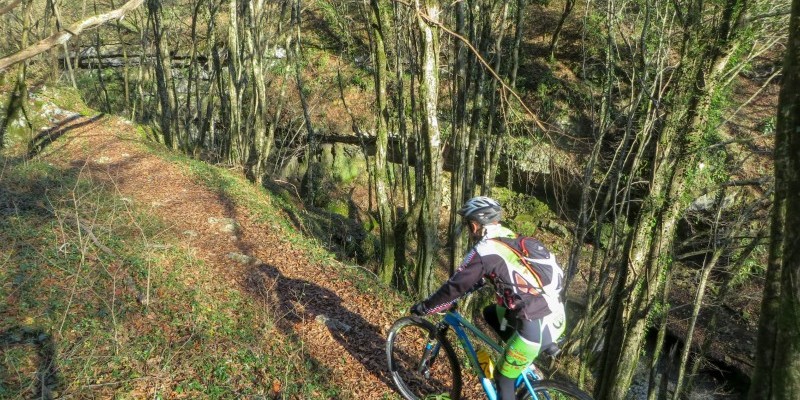 HD_PONTEDIVEJA (5).jpg