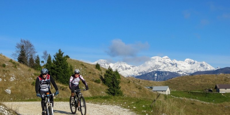 HD_busdelgias (6).jpg