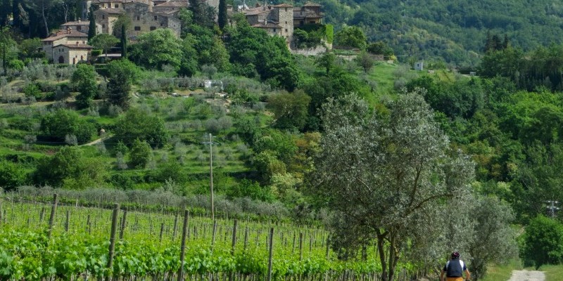 chianti-trail-gravel-mtb-itinerari-percorsi-nestbike (4).jpg