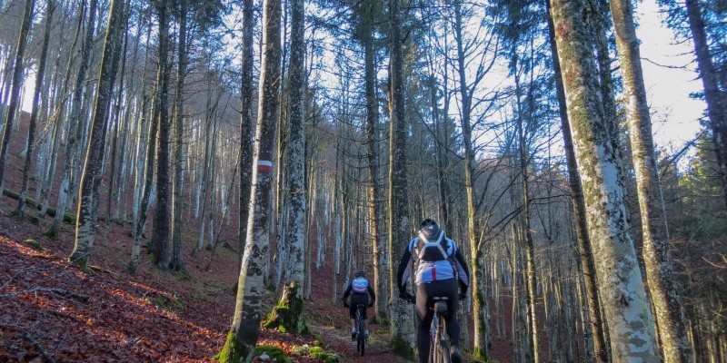 HD_busdelgias (5).jpg