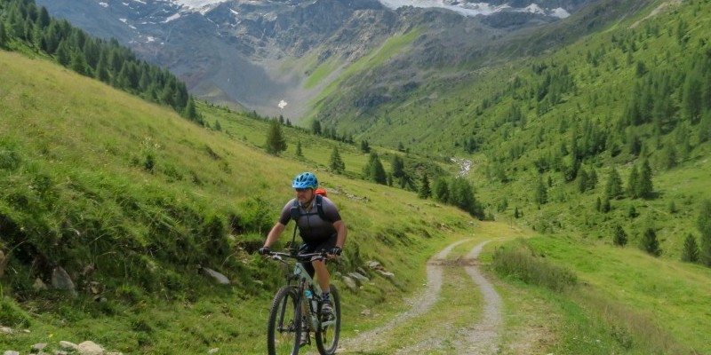 nestbike_val-viola-alpe-boron-7.jpg