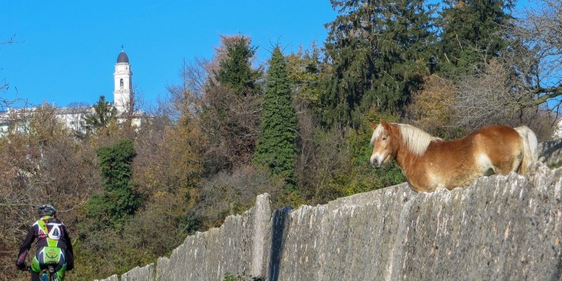 HD_PONTEDIVEJA (6).jpg