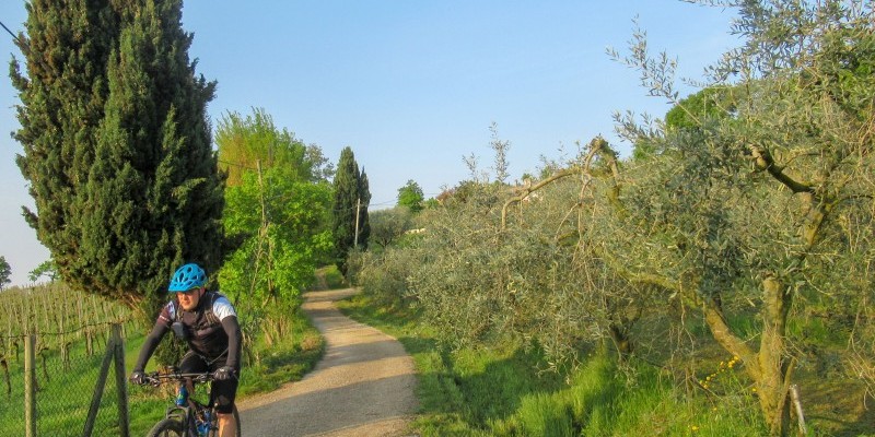 hd_bericifimon{Nome file»}.jpg