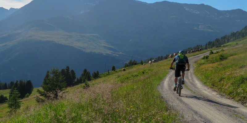 passo-dell-alpe_nestbike_itinerario_mtb.jpg