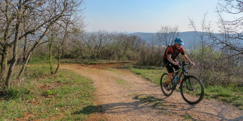 sossano-colli-berici_nestbike-itinerario-percorso-mtb (3).jpg