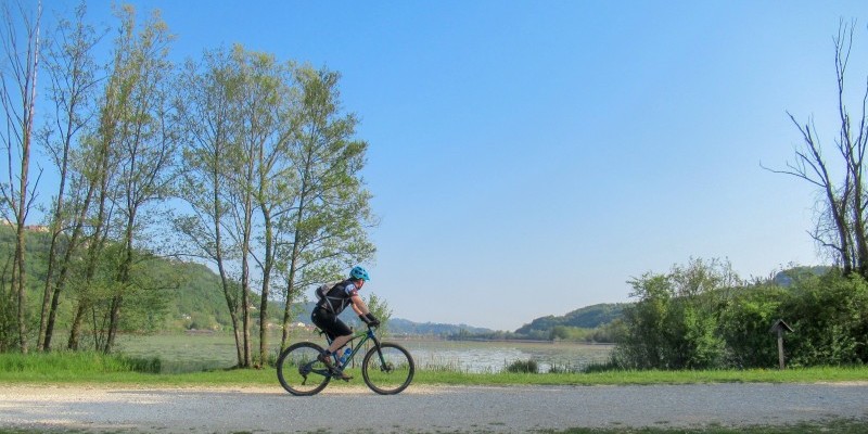 hd_bericifimon{Nome file»}-3.jpg