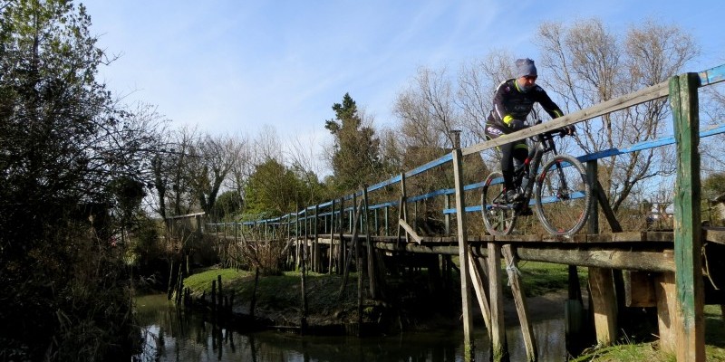 hd_caorlemort (5).jpg