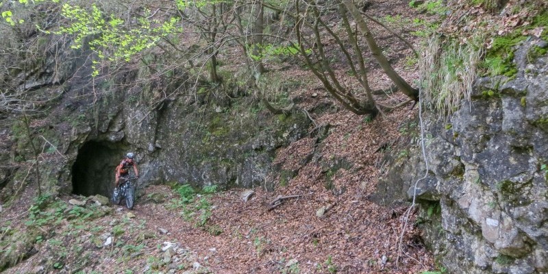 HD_transgrappa2 (5).jpg