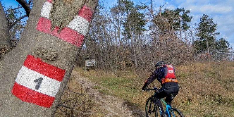 hd_VEDETTECARSO (1).jpg