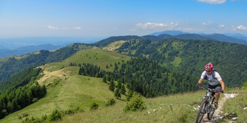 HD_travprealpina (4).jpg