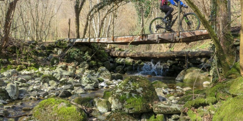 hd_collimaladensi (5).jpg