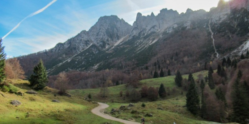 hd_grandialberi (6).jpg