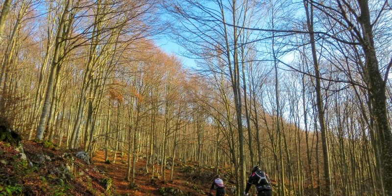 HD_busdelgias (2).jpg