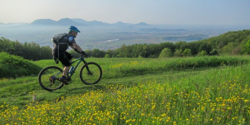 hd_bericifimon{Nome file»}-2.jpg