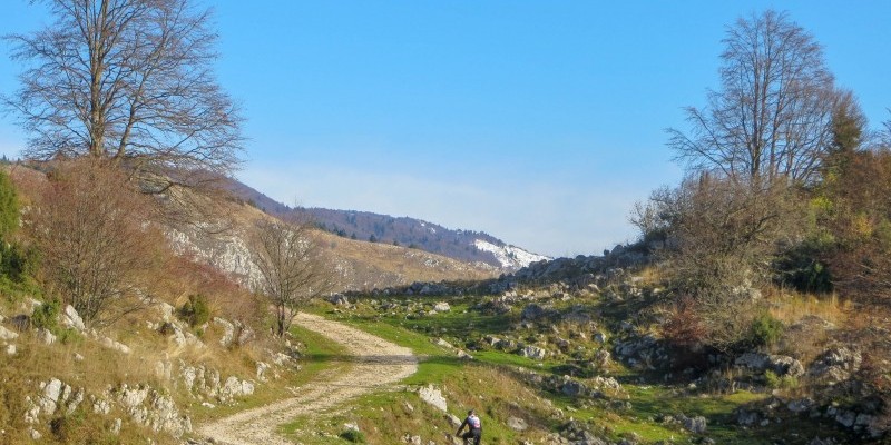 HD_busdelgias (3).jpg