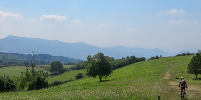 nestbike-via-degli-dei-itinerario-mtb (4).jpg