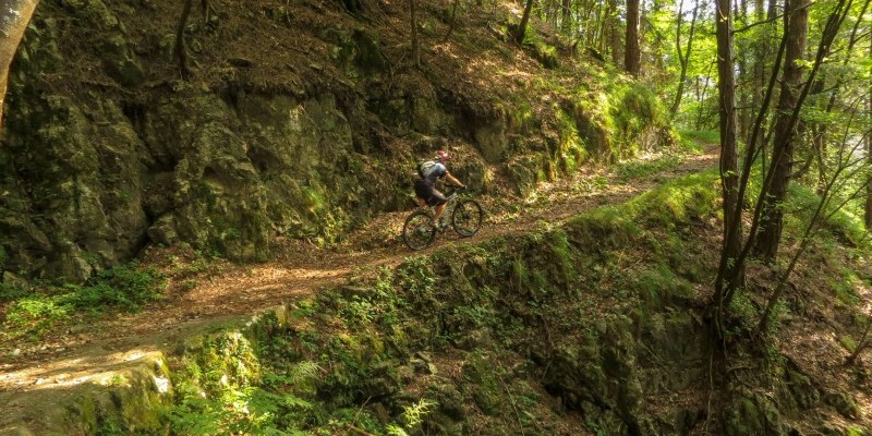 hd_cimagrappa70 (4).jpg