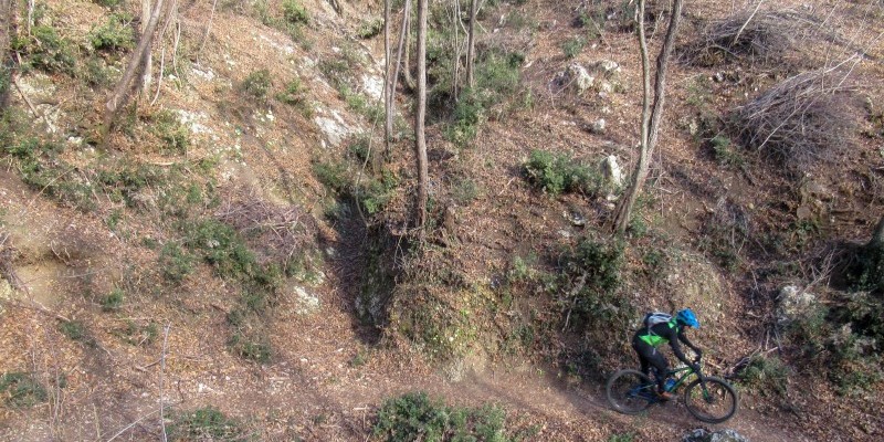 Colli Asolani nest.bike Percorsi e Itinerari in MTB e gravel