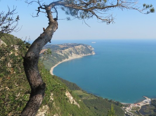 monte-conero-trails-2-nestbike-itinerario-mtb (2).jpg