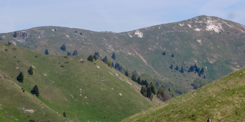 HD_transgrappa2 (2).jpg