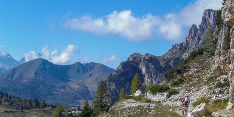 HD_tofanarozes (1).jpg