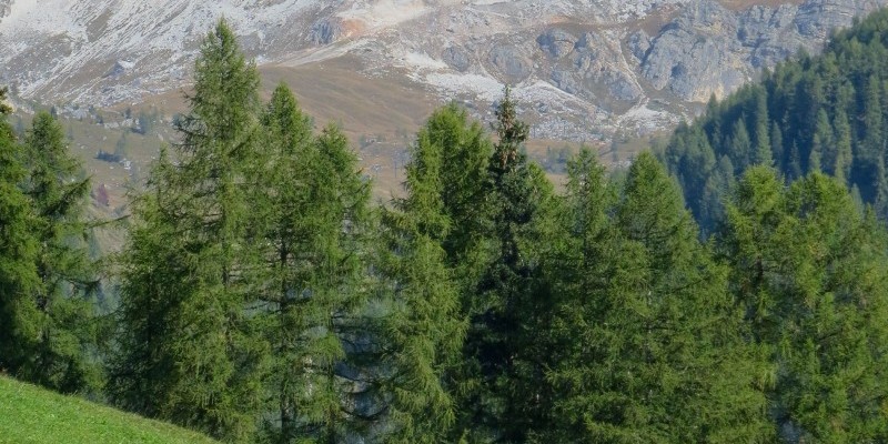 nestbike_giro-monte-pore-mtb-gps (5).jpg