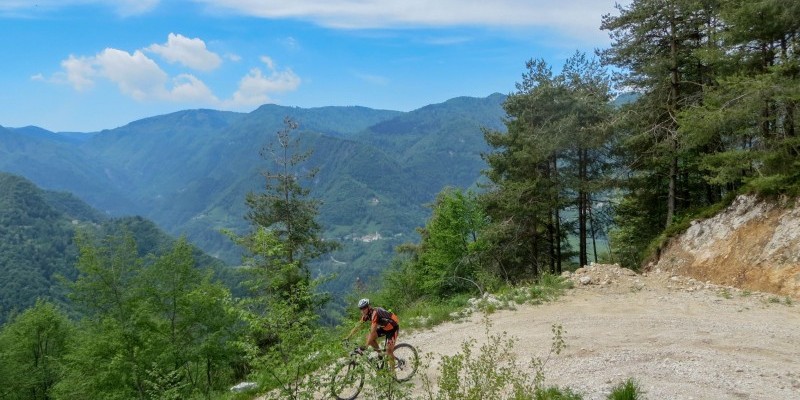 HD_transgrappa2 (6).jpg