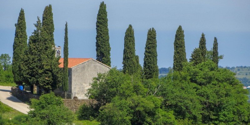 istria-roundtrip-6-nestbike-itinerari-mtb (3).jpg