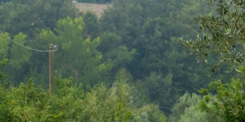 nestbike-via-degli-dei-itinerario-mtb (6).jpg