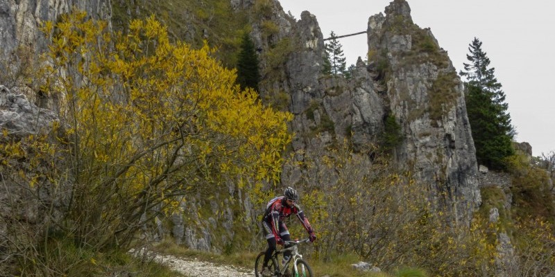 HD_grappaest (3).jpg