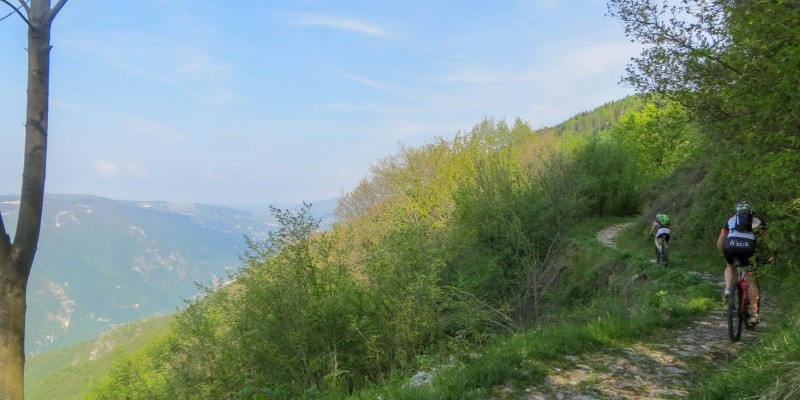 HD_collialti (1).jpg