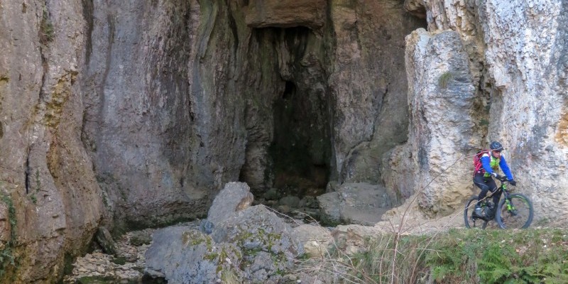 hd_collimaladensi (4).jpg