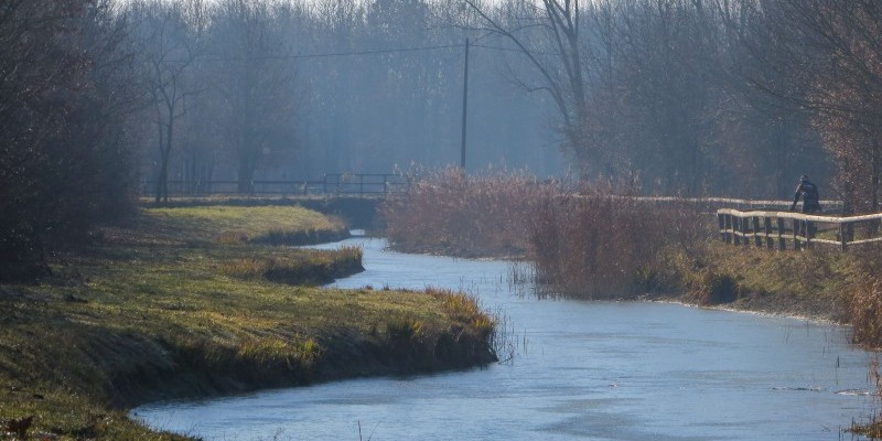 hd_campotrincerato (1).jpg