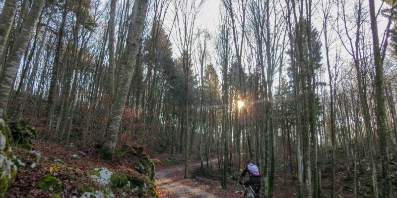 HD_busdelgias (1).jpg