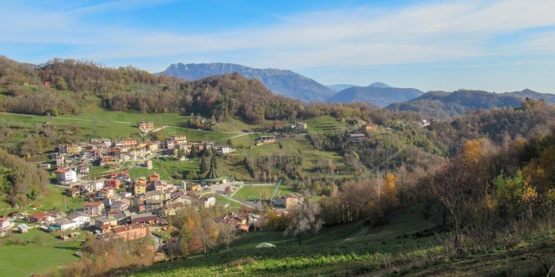 hd_grandialberi (3).jpg