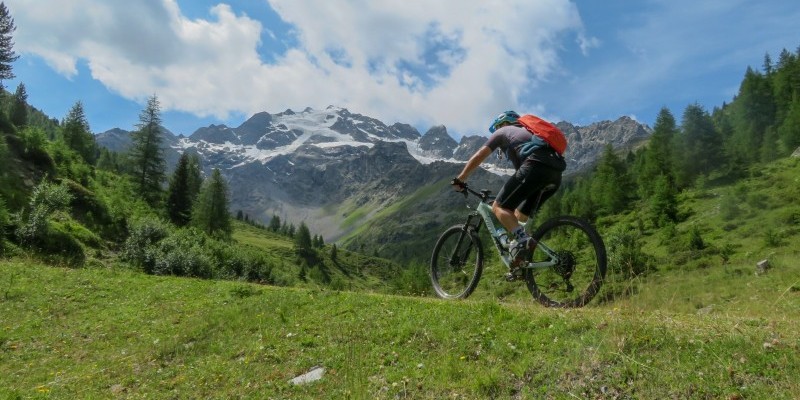 nestbike_val-viola-alpe-boron-6.jpg